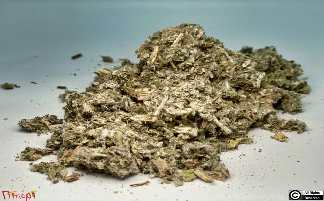 Αγκινάρα , (artichoke-cynara cardunculus). 1