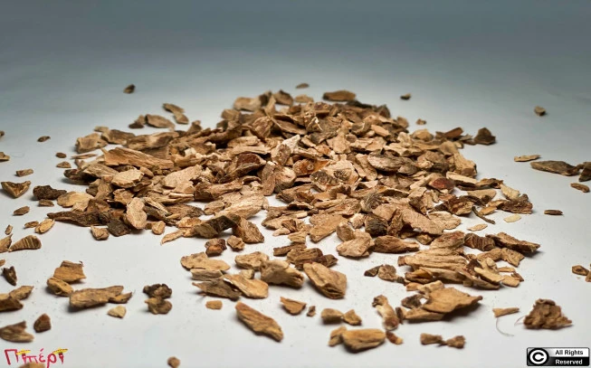 Άκορος : Κάλαμος η καλάμι αρωματικό (acorus calamus). 1