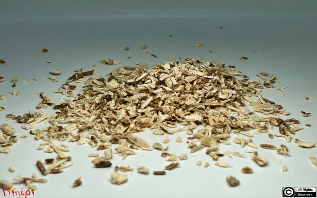 Althea, Marshmallow root, Althea .Rodanthi, dendromolocha, watercress (Althea officinalis). 1