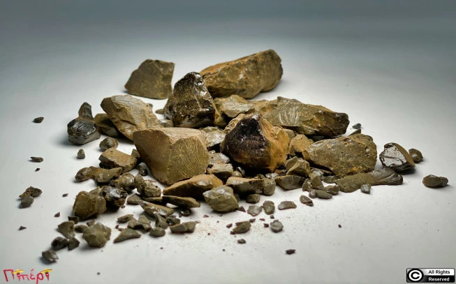 Aloe Powder    Genuine aloe, aloe vera, (aloe barbadensis mill). 1