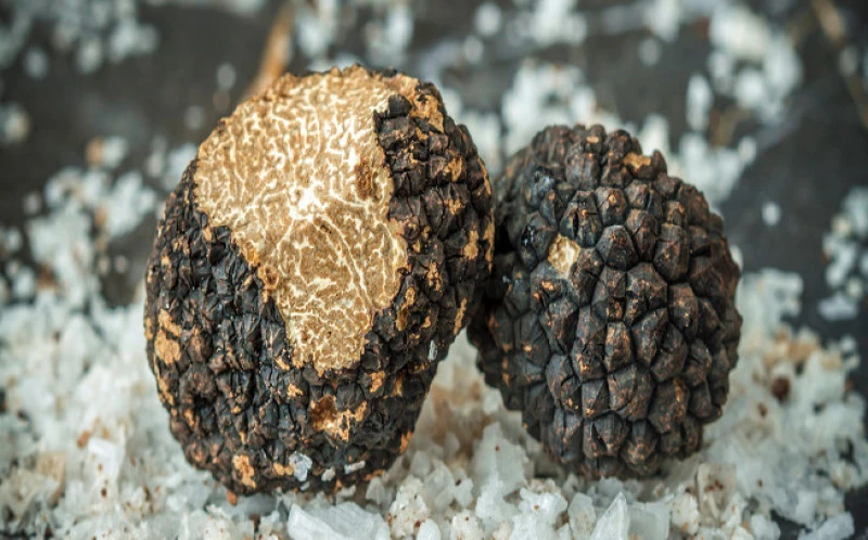 Extra Virgin Olive Oil Black summer truffle, (Tuber aestivum). 2