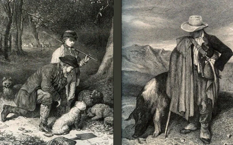 Extra Virgin olive oil from White truffle, (Tuber magnatum). 3